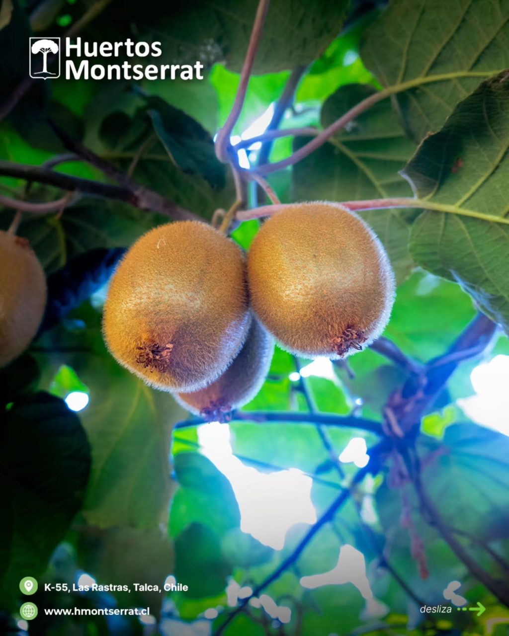 Instagram post from huertos_montserrat. This post is in position 2.