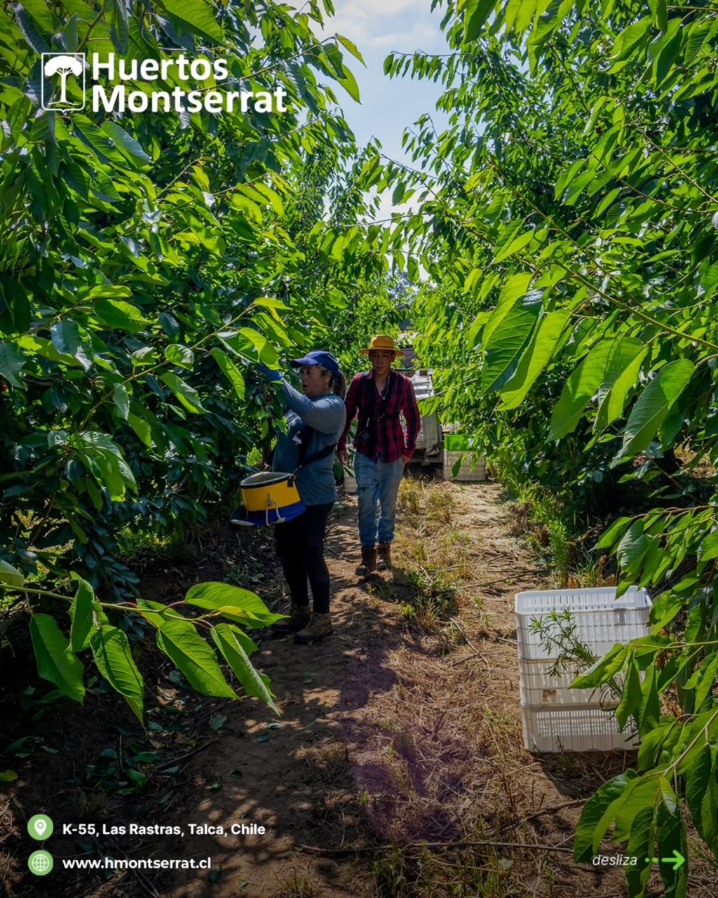 Instagram post from huertos_montserrat. This post is in position 11.