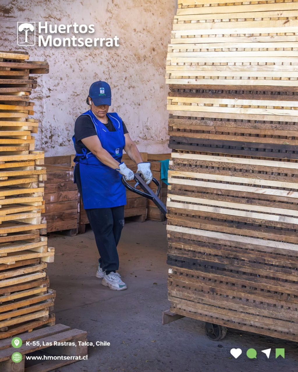 Instagram post from huertos_montserrat. This post is in position 4.