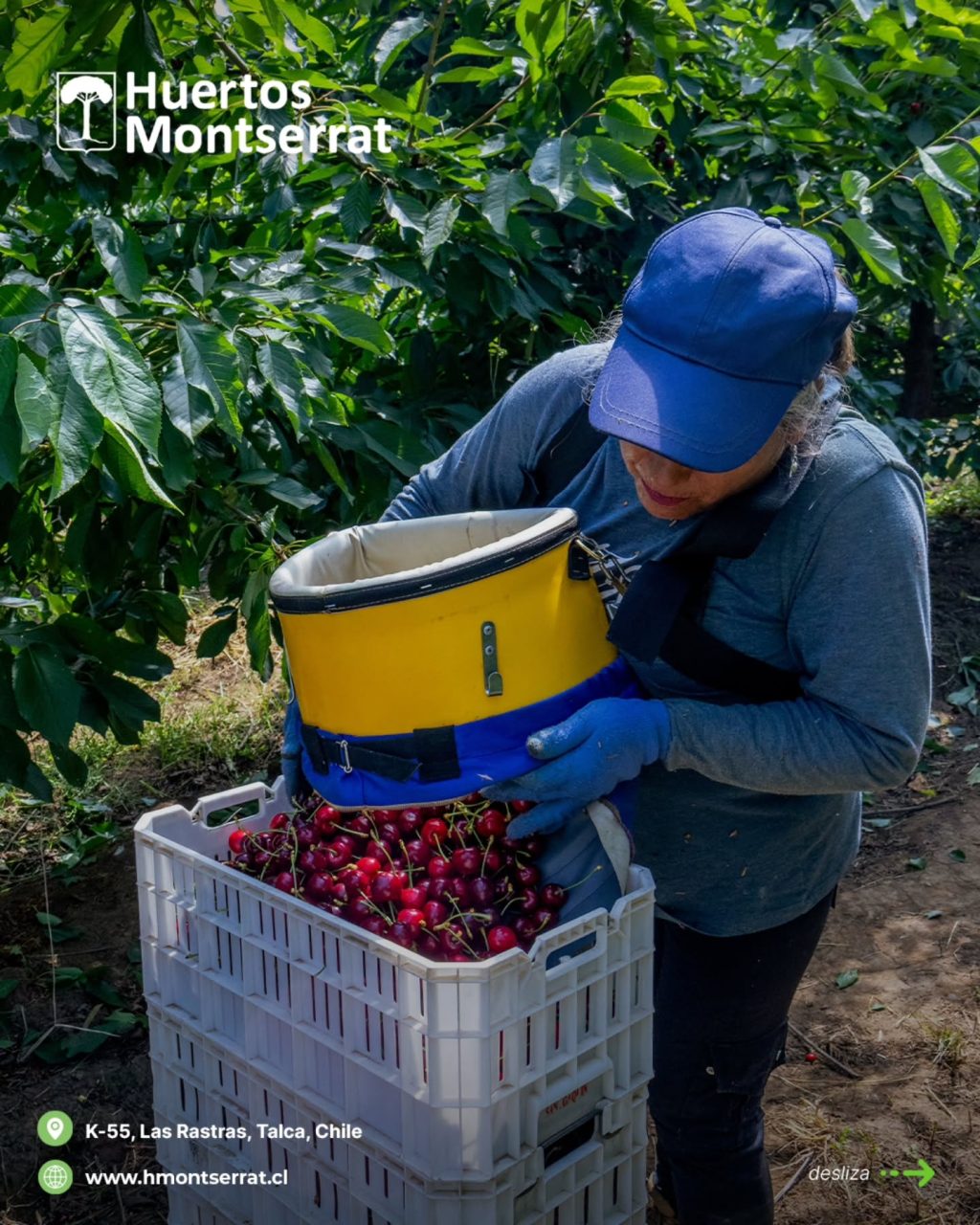 Instagram post from huertos_montserrat. This post is in position 10.