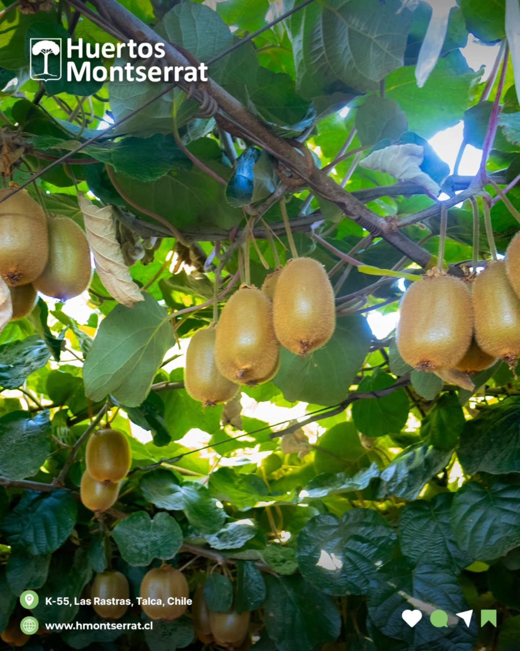 Instagram post from huertos_montserrat. This post is in position 3.