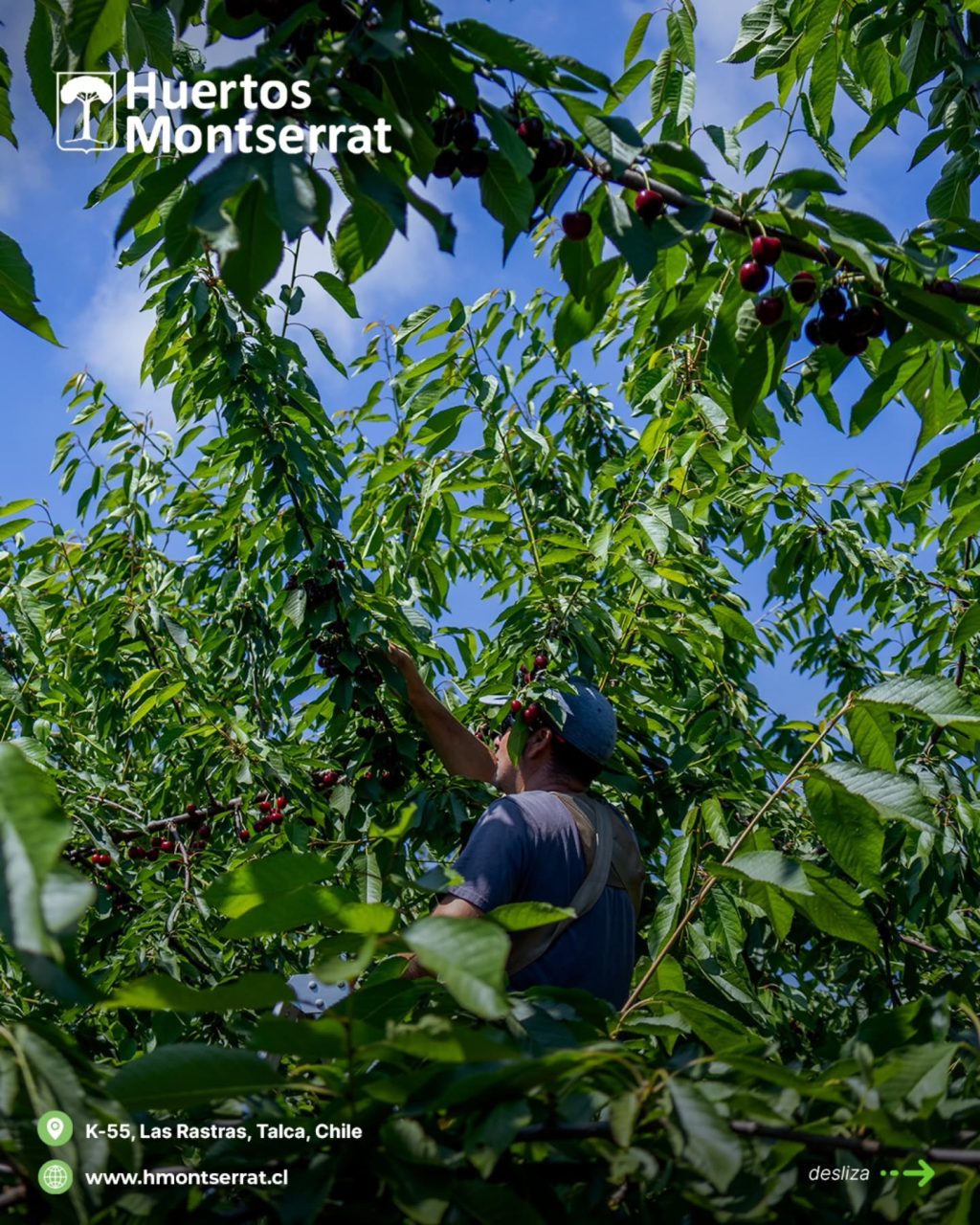 Instagram post from huertos_montserrat. This post is in position 1.