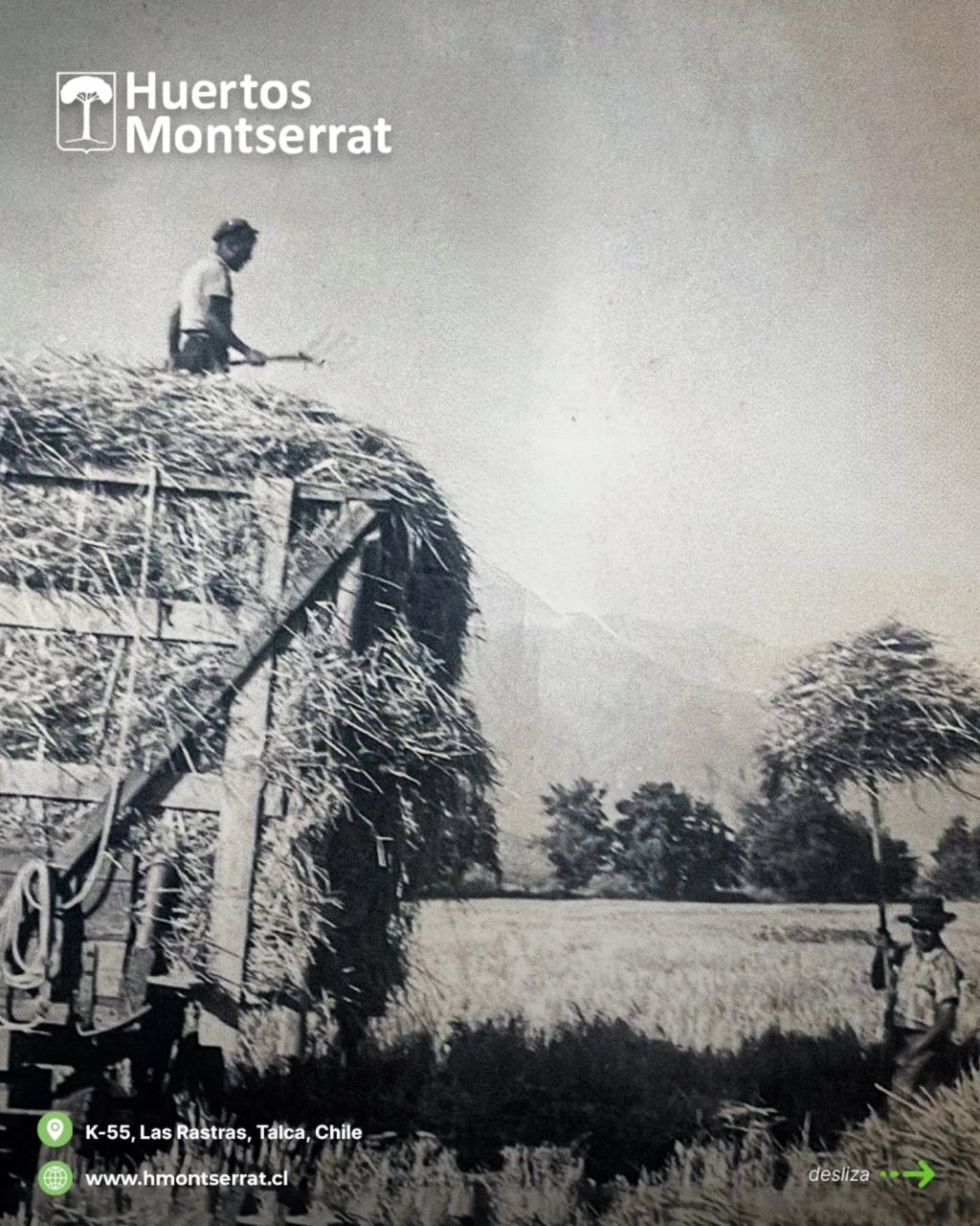 Instagram post from huertos_montserrat. This post is in position 2.