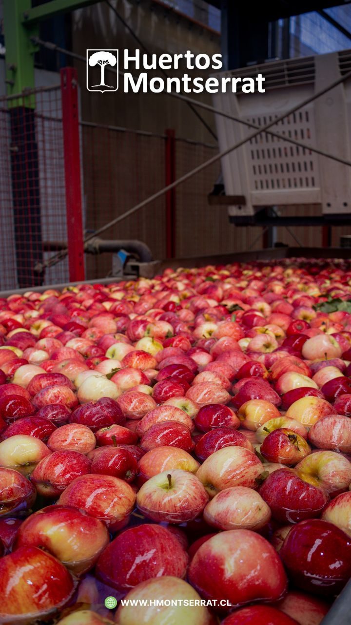 Instagram post from huertos_montserrat. This post is in position 1.