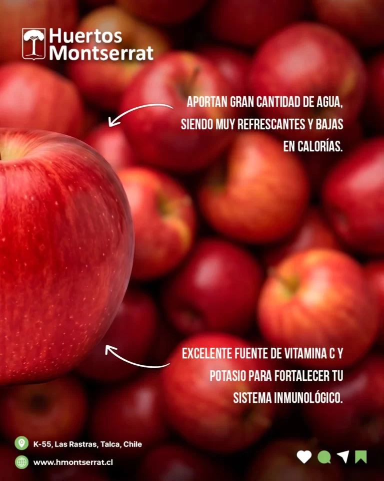 Instagram post from huertos_montserrat. This post is in position 2.