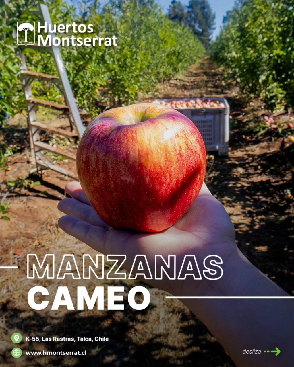 Instagram post from huertos_montserrat. This post is in position 0.