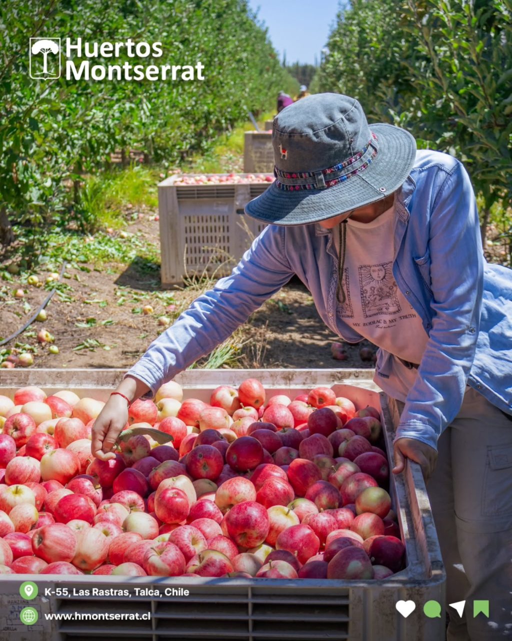 Instagram post from huertos_montserrat. This post is in position 2.