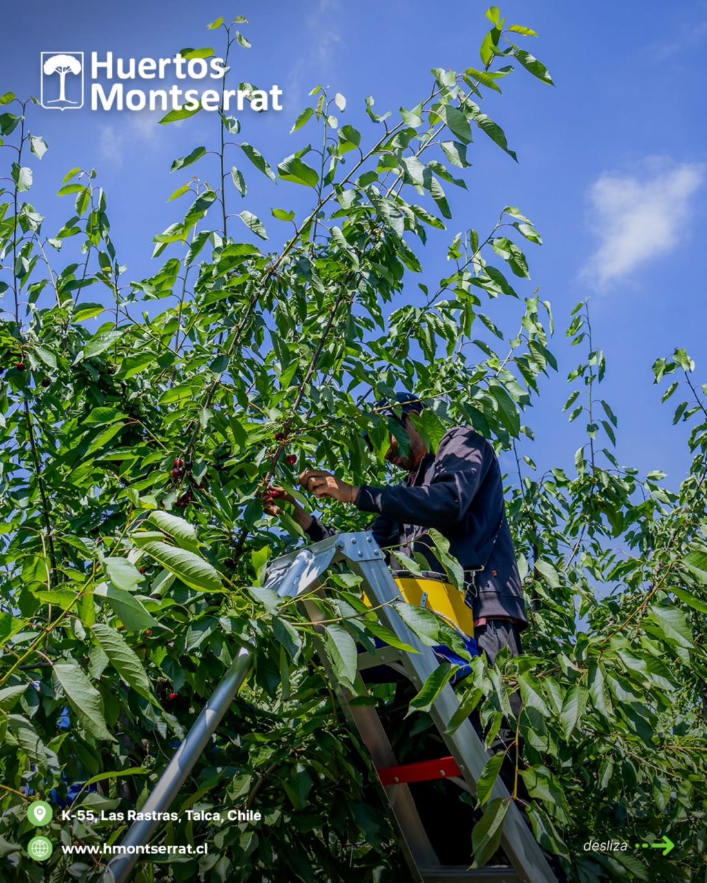 Instagram post from huertos_montserrat. This post is in position 6.