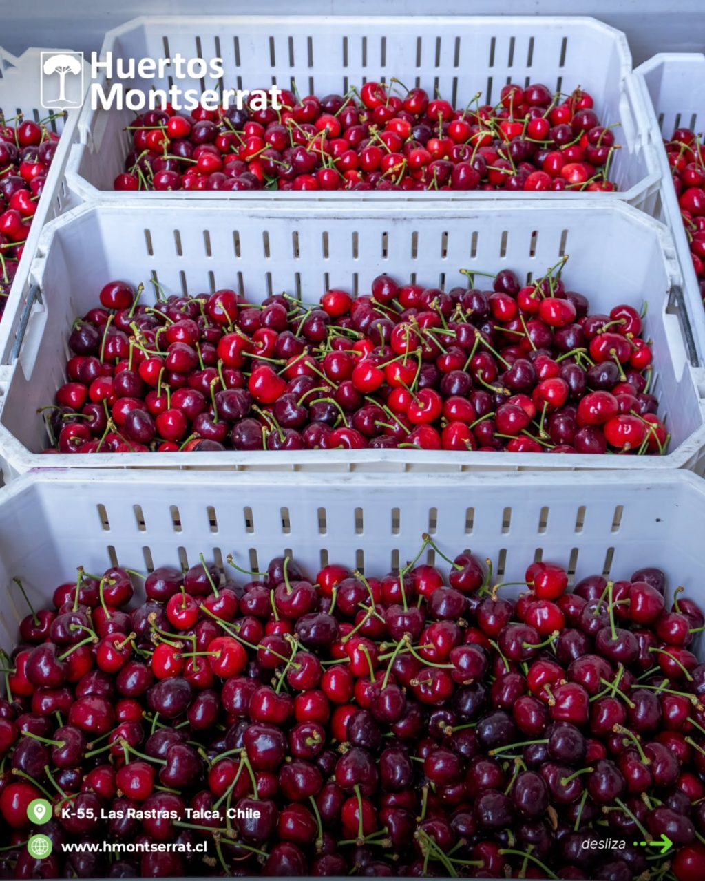 Instagram post from huertos_montserrat. This post is in position 0.