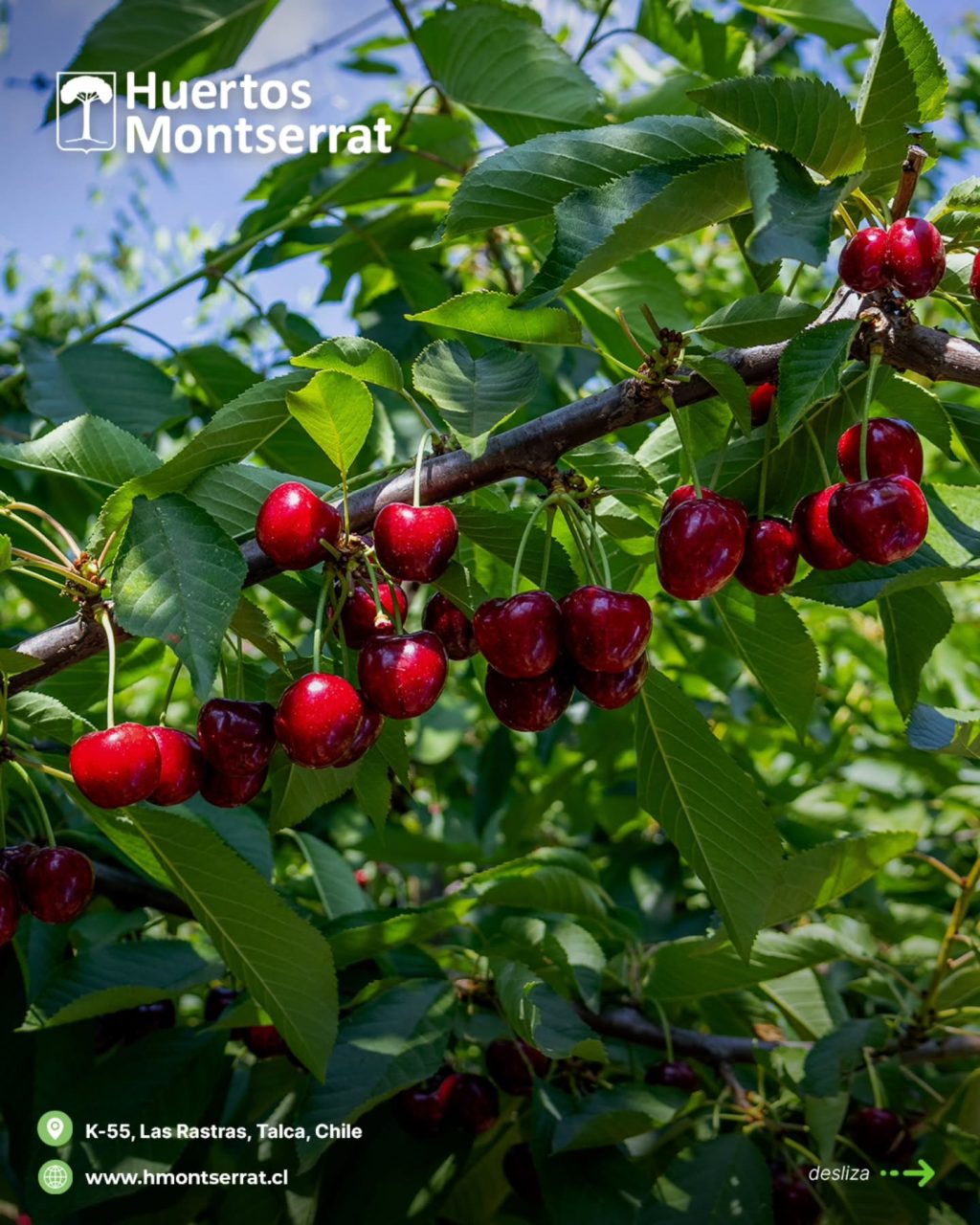 Instagram post from huertos_montserrat. This post is in position 9.