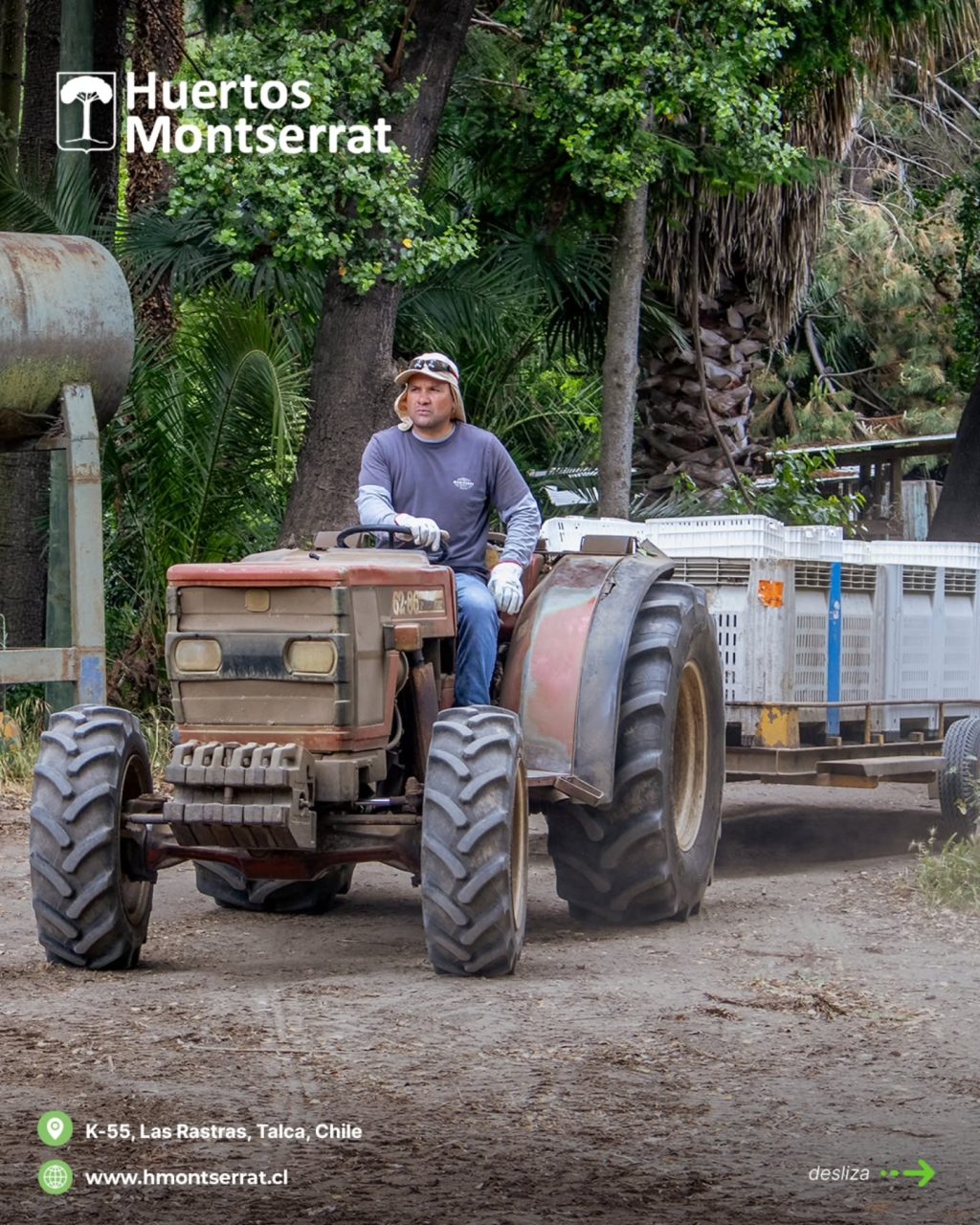 Instagram post from huertos_montserrat. This post is in position 3.