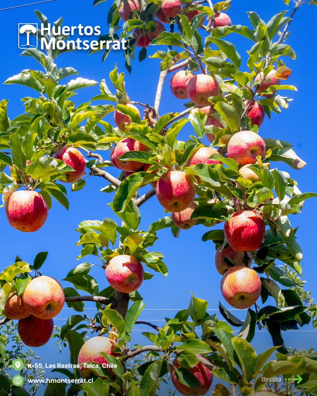 Instagram post from huertos_montserrat. This post is in position 1.