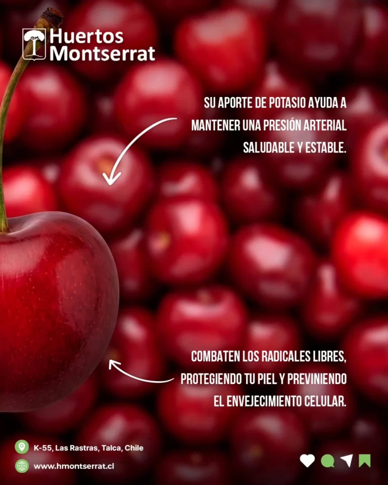 Instagram post from huertos_montserrat. This post is in position 2.
